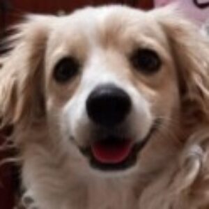 Profile photo of Lurline Salena Small